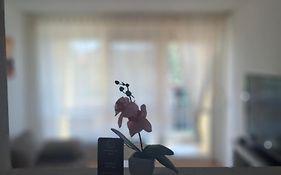 Appartement Shirin